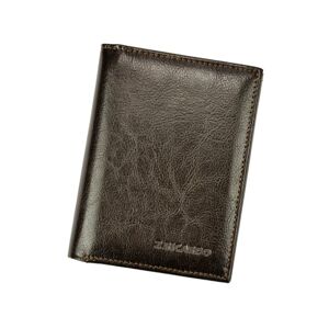 Pánska peňaženka Z.Ricardo 055
