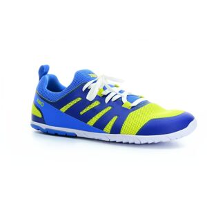 športové tenisky Xero shoes Forza Runner Victory Blue/sulphur M 43 EUR