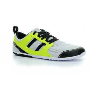 športové tenisky Xero shoes Zelen Gray/sulphur 42 EUR