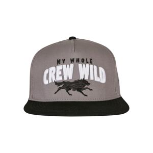 Cayler & Sons Crew Wild Cap grey/black - UNI