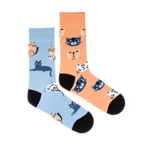 Ponožky Feetee Cats