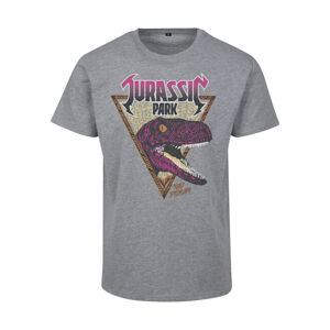 Mr. Tee Jurassic Park Pink Rock Tee heather grey - L